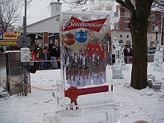 039 Plymouth Ice Show [2008 Jan 26]